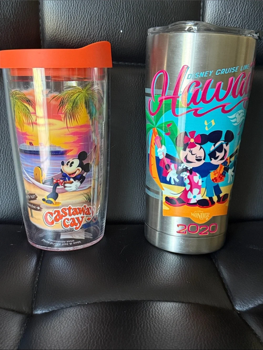 Tervis Tumbler- Disney Cruise Line